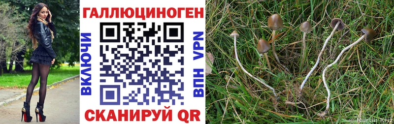 Галлюциногенные грибы мицелий  Торжок 